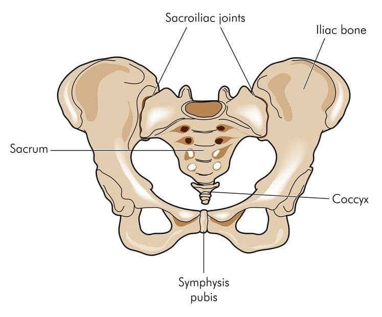 Diagram of hips and SI joint