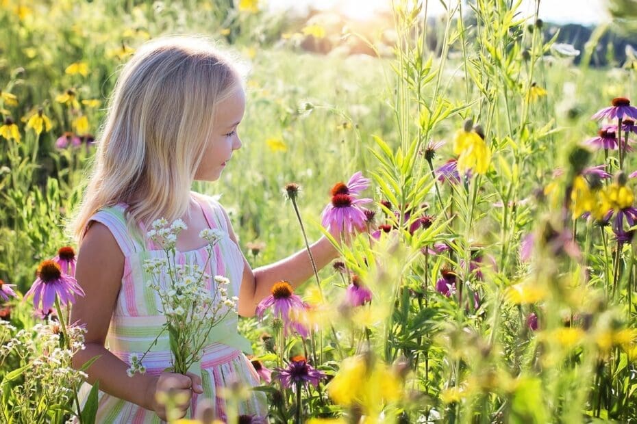 Young girl picking flowers in a field